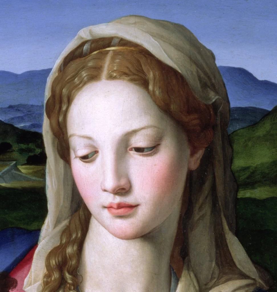  178-Agnolo Bronzino-Sacra Famiglia con Anna e Giovannino-Louvre, Parigi-dettaglio 